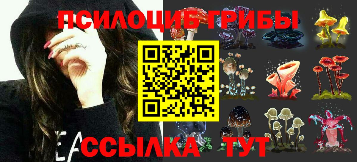Галлюциногенные грибы Cubensis  Вход с VPN  Шахты 