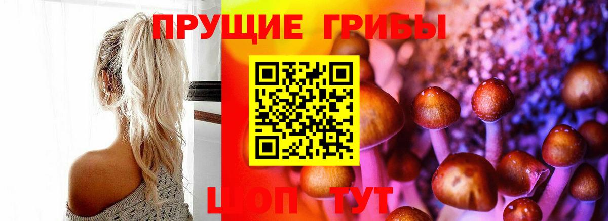 Галлюциногенные грибы прущие грибы Шахты